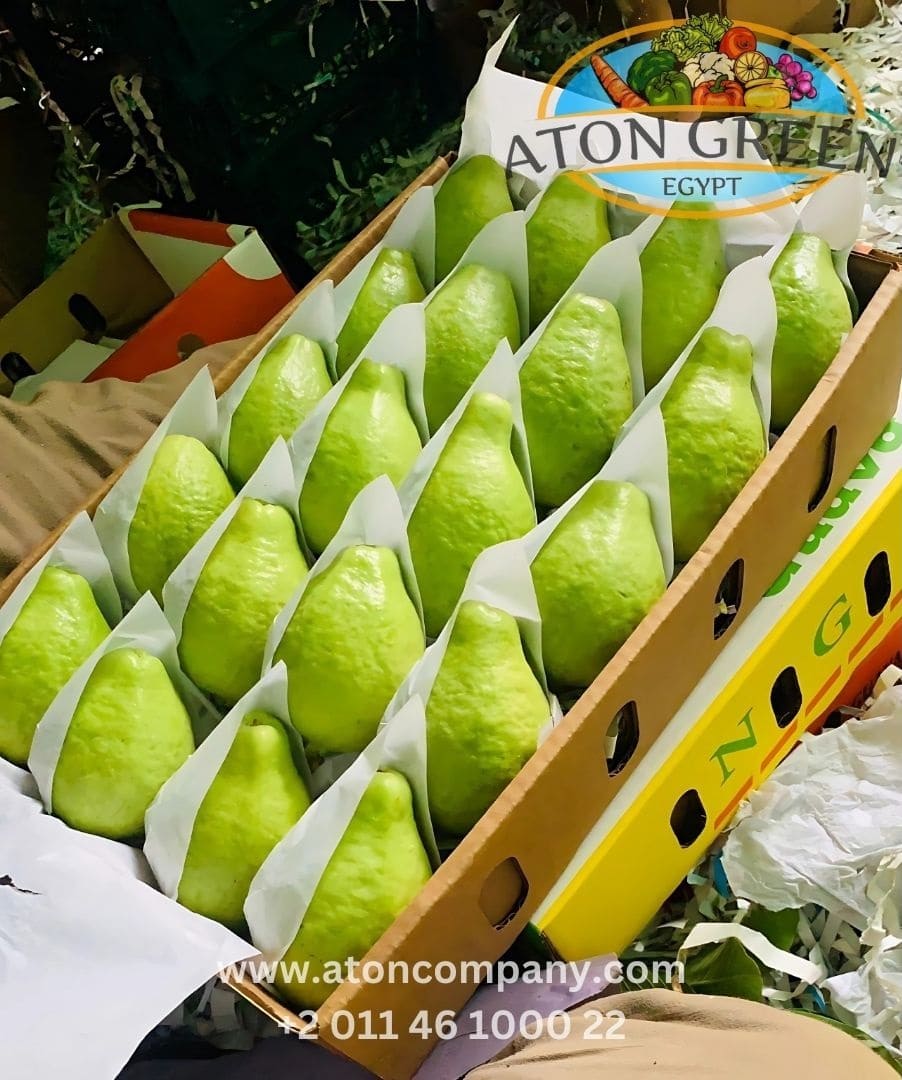 Aton Green Egypt Fresh Fruits & Vegetables